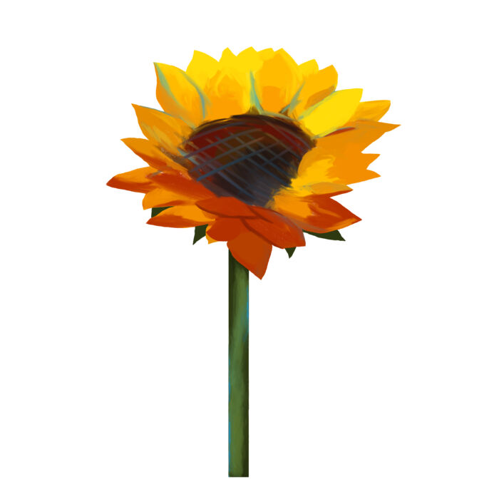 Warm & Sunny Thumbnail